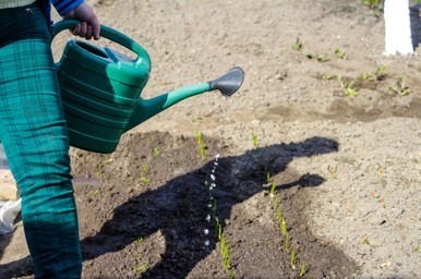 defocus-closeup-gardener-standing-near-260nw-1941054193 (2)_1624436183.jpg